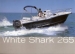 Coques KELT WHITE SHARK 265